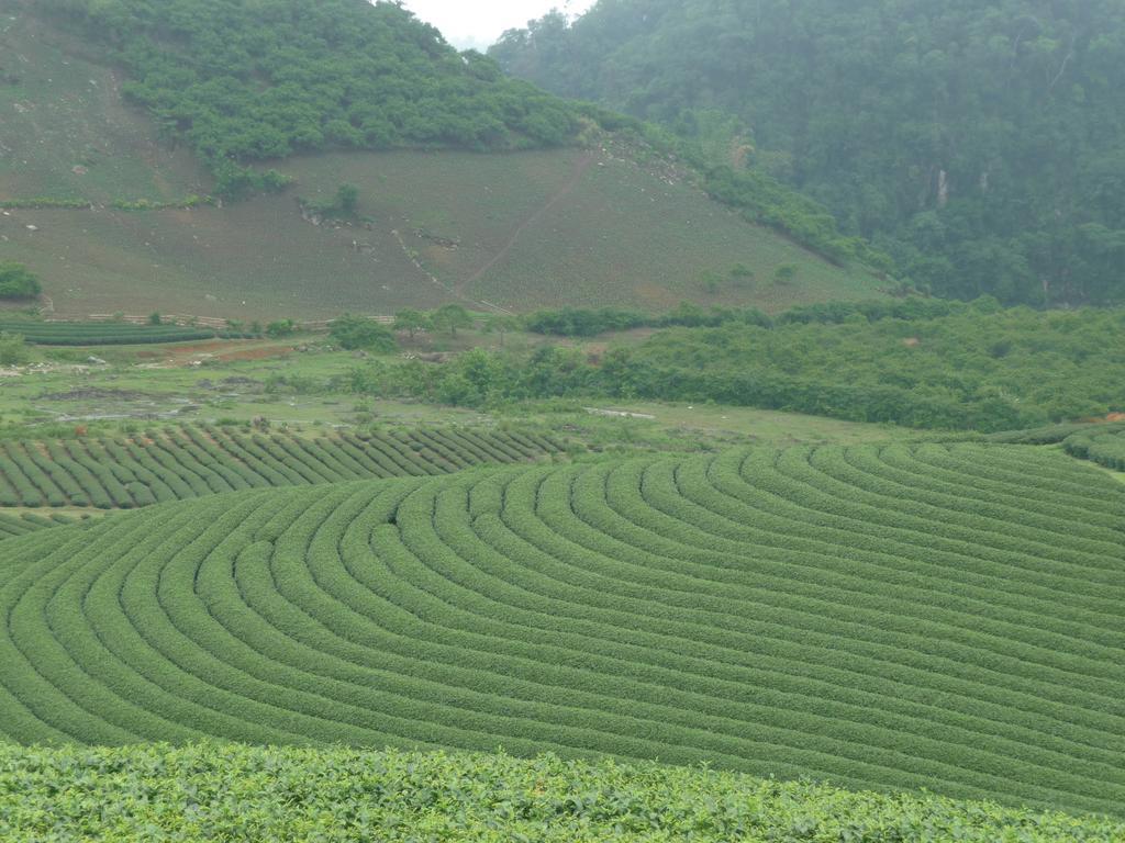 Mai Chau Valley View Hotel Hòa Bình Exteriér fotografie
